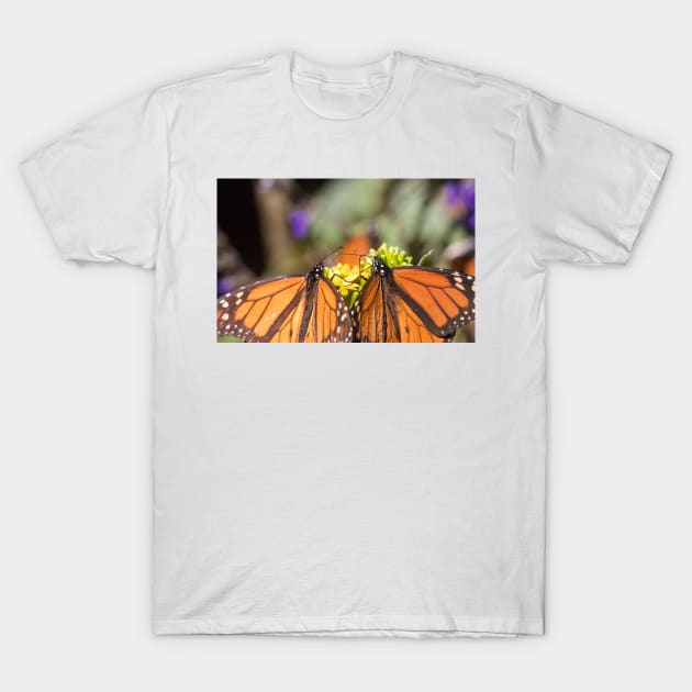Flutter Friends T-Shirt by Jacquelie